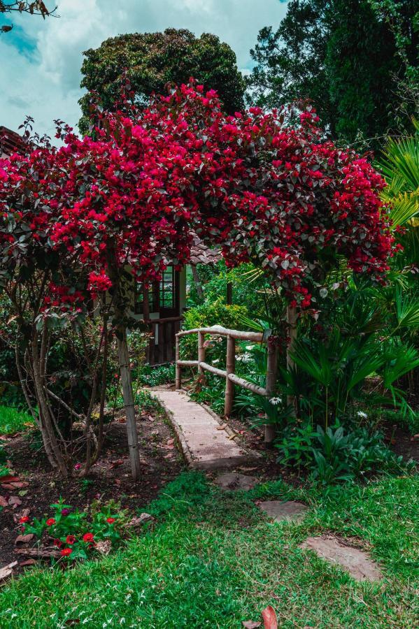Hotel Casa De Nelly ซานออกุสติน ภายนอก รูปภาพ